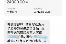 西宁为什么选择专业追讨公司来处理您的债务纠纷？